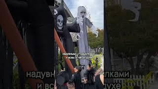 Спустить на это столько денег… вот вам и Америка…