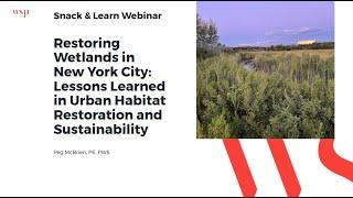 Restoring Wetlands in New York City: Lessons Learned in Urban Habitat Restoration and Sustainability