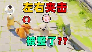 居哥哥：和S裴奇再次battle！请S派德做裁判，看蠢猪还怎么耍赖