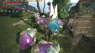 Black Desert Online Easy Skill Point Farm Hour(200SP/H) skill point 2021 Playstation 5 4K60 Gameplay