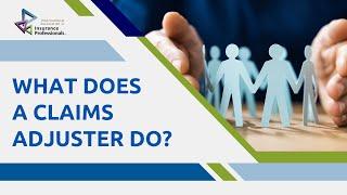 What does a Claims Adjuster Do?