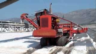 Salt harvesting in Messolonghi, Greece