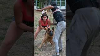 Wow.German Shepherd apprehends intruder. Service dog training. #GUARDODESSA  Odessa Ukraine