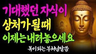 기대했던 자식이 상처가 될 때, 부처님 말씀 한마디면 충분합니다