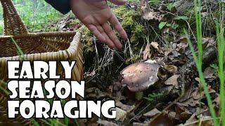 Growing a Vegetable Garden Anthology Year 1 / As a Beginner - Early Season Mushroom Foraging