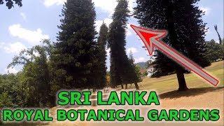 Sri Lanka Royal Botanical Gardens, Peradeniya