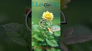 S....status  RSP EDITING ️#whatsapp #story #video #4k #2m #latterlife #shorts #couplestatus