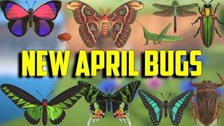 New April Bugs | April Bugs ACNH | April Bugs Animal Crossing New Horizons | April Bugs Guide