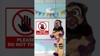 Correct! #furry #fursuit #costume #cosplay
