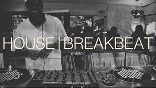 Shredy - House | Breakbeat | Funk | Disco