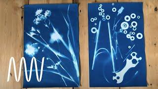 Cyanotype prints for beginners | National Museums Liverpool