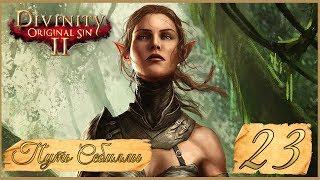 Divinity: Original Sin II  23: Дракон Слейн и ведьма Радека.