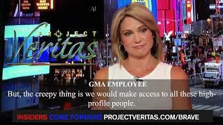 VIDEO: Leaked ABC News Insider Recording EXPOSES #EpsteinCoverup "We had Clinton, We had Everything"