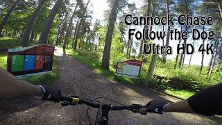 4K Cannock Chase - Follow the Dog - Full Trail