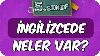 5. Sınıf İngilizcede Neler Var? İngilizce Dersine Nasıl Çalışır