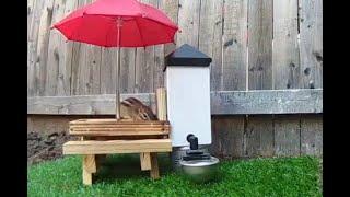 Chipmunk Memorial Day picnic feast! (The Adventures of Mellie the Talking Chipmunk)