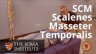 Palapation of SCM, Scalenes, Masseter and Temporalis