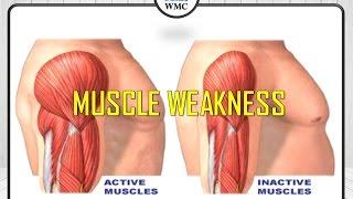 The best Treatment For Muscle weakness In Ipoh