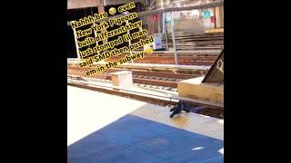 Wat#newyork #swim #viral #shorts #pigeon #gangster #motivation #subway #nydrill #phonk #meme #nyc