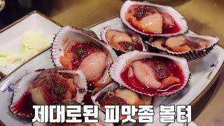 #대구회맛집 대구에서 피조개 회도 맛볼수 있을줄이야 --- 산꼼파