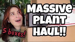 MASSIVE PLANT HAUL!!  5 Boxes of Plants from Palmstreet  Anthurium, Pothos + More!! ️ unboxing