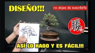 COMO DISEÑAR UN BONSAI !!!  FÁCIL Y PRACTICO!!! PARA COMENZAR TU  BONSAI!!