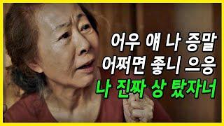 배우 윤여정, 한국배우 최초 아카데미 여우조연상 수상! 영화 미나리 리뷰 (미나리 상징 해석) 스티븐연 한예리 I 휴먼여정체 [팝콘각]