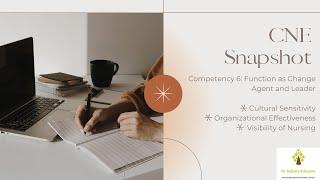 Snapshot 29:CNE Snapshot: Competency 6-Change Agent and Leader