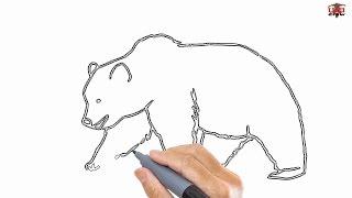 How to Draw a Bear Step By Step: Drawing by UCIDraw