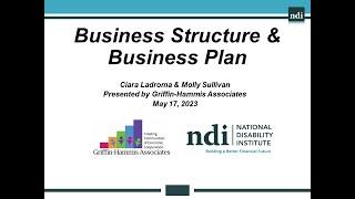 Business Structure and Business Plan