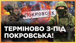 СЕЙЧАС! Вот что ПРОИСХОДИТ возле Покровска В ЭТИМ МИНУТЫ! НОВАЯ тактика ШТУРМОВ РФ / ЛИТВИН