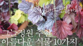 Must-Have Plants for Shade Gardens! 10 Shade-Loving Beauties + Trend Updates | Cold-Hardy Picks
