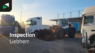 Liebherr L550 X POWER - 2018 - BAS World