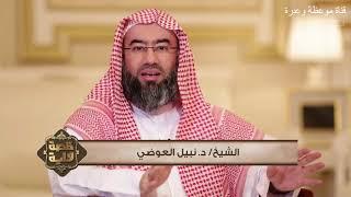 قصص نزول ايات القران الكريم مع الشيح نبيل العوضي الجزء 03