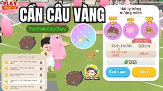 Play Together | Mình Cày Chay Thử Thách Câu Cá Hải Ly VM Bằng Cần Câu Vàng | Cày Chay 2025 #9