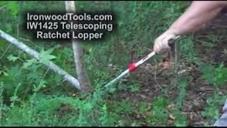 IW1425 Telescoping Ratchet Lopper