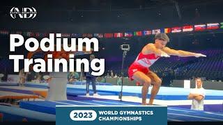 Jake Jarman (Great Britain ) - Vault -  2023 World Gymnastics Championships Podium Training