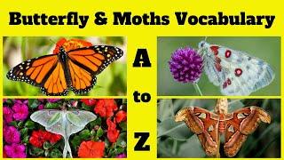  Butterflies and Moths Vocabulary A to Z : Full Version for Kids | Insect Vocabulary | Butterfly