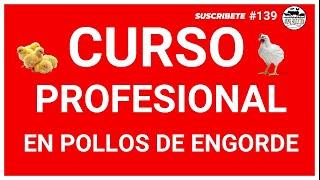 Curso Profesional GRATUITO: Domina la Producción de Pollos de Engorde desde CERO ️