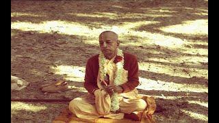 [ Three Hours ] Srila Prabhupada Chanting -Japa with Nature and birds - {{16 Rounds Maha Mantra}}