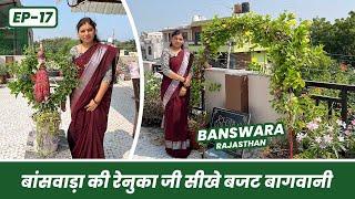 बाँसवाड़ा की रेनुका जी से सीखें बजट बाग़वानी 🪴 Budget Garden of Banswara EP-17