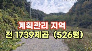 문의 010-2569-0098  계획관리지역  전.체류형쉼터 추천 .마을과 떨어져  독립적으로 진입하는곳 .작은 개울옆의 콩밭#싼땅#봉화땅#경북땅매매#오지땅#5도2촌