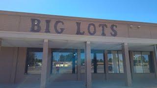 Big Lots sterling ave Peoria Illinois Abandoned 2024