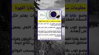 أقوال توماس شلبي معلومات/أستوريات أنستا/حالات واتس أب/أستوريات حماسية