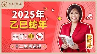 麦玲玲师傅详解2025蛇年运程：生肖牛！事业运、财运、人际关系、爱情、婚姻、健康全解析！