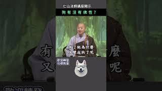 狗有沒有佛性？~ 仁山法師講座開示 #佛法#禪 #開悟