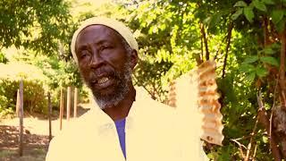 Beekeeping on Union Island