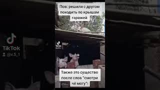 Мем с другом. #мемы #мем #memes #друг #приколы #пов