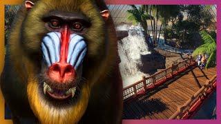  Mandrill Rainforest Exhibit | Planet Zoo Beta