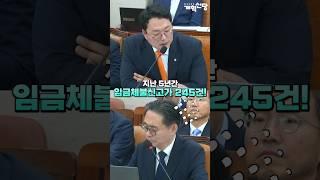 천하람의 빌드업에 말문 막힌 국세청장 후보자
